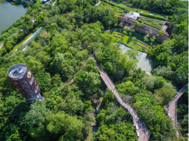 Metro Forest / PTT Forest in the City