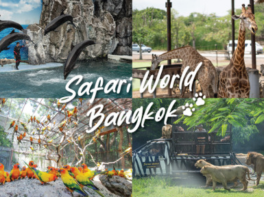 Safari World