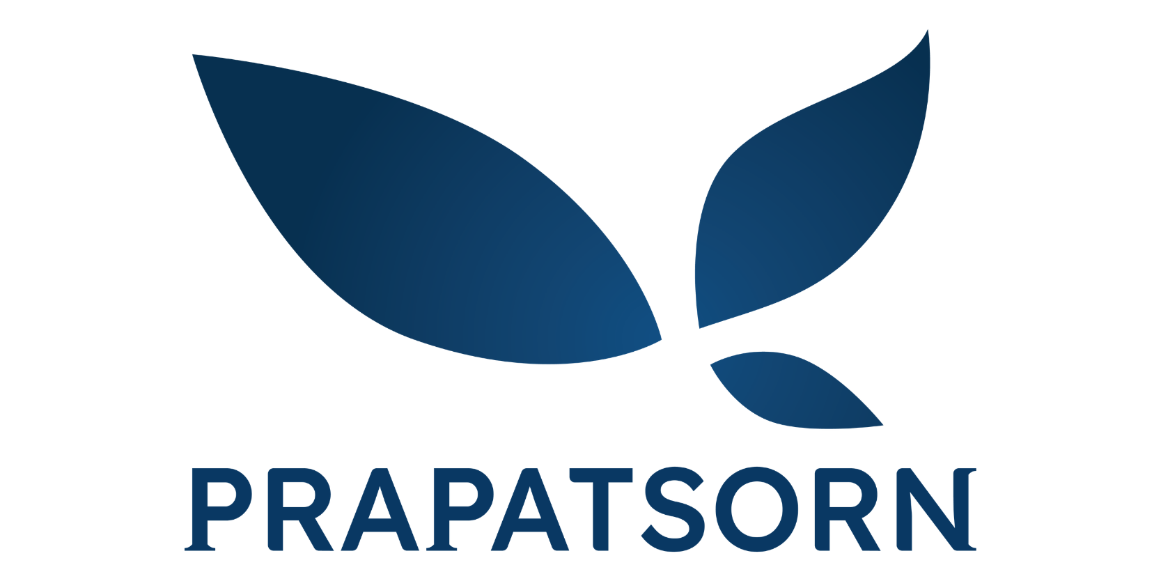 Prapatsorn Engineering Supply